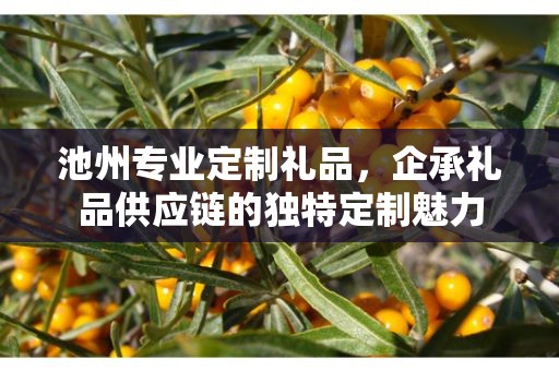 池州专业定制礼品，企承礼品供应链的独特定制魅力